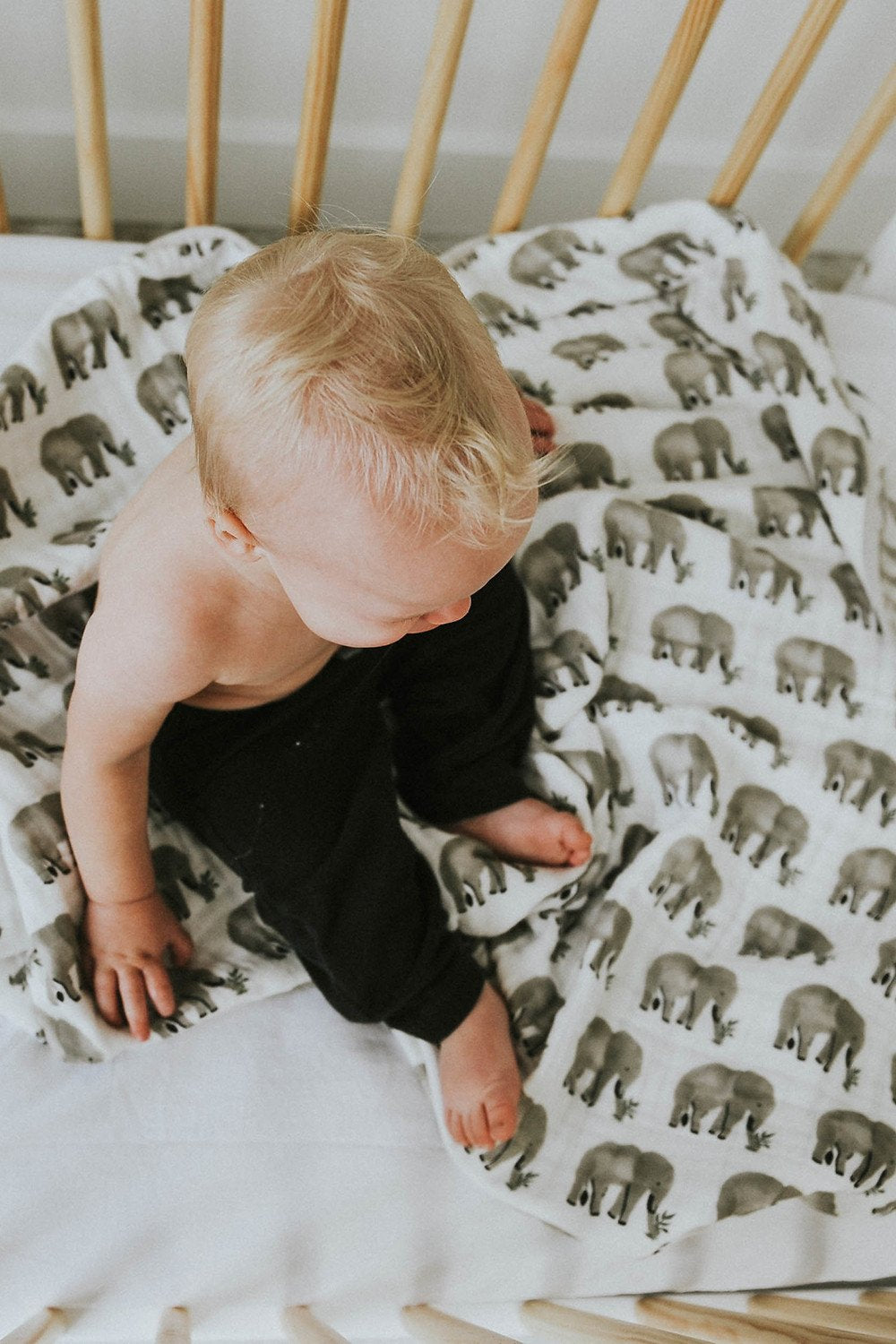 Elephant Swaddle - Tnee's