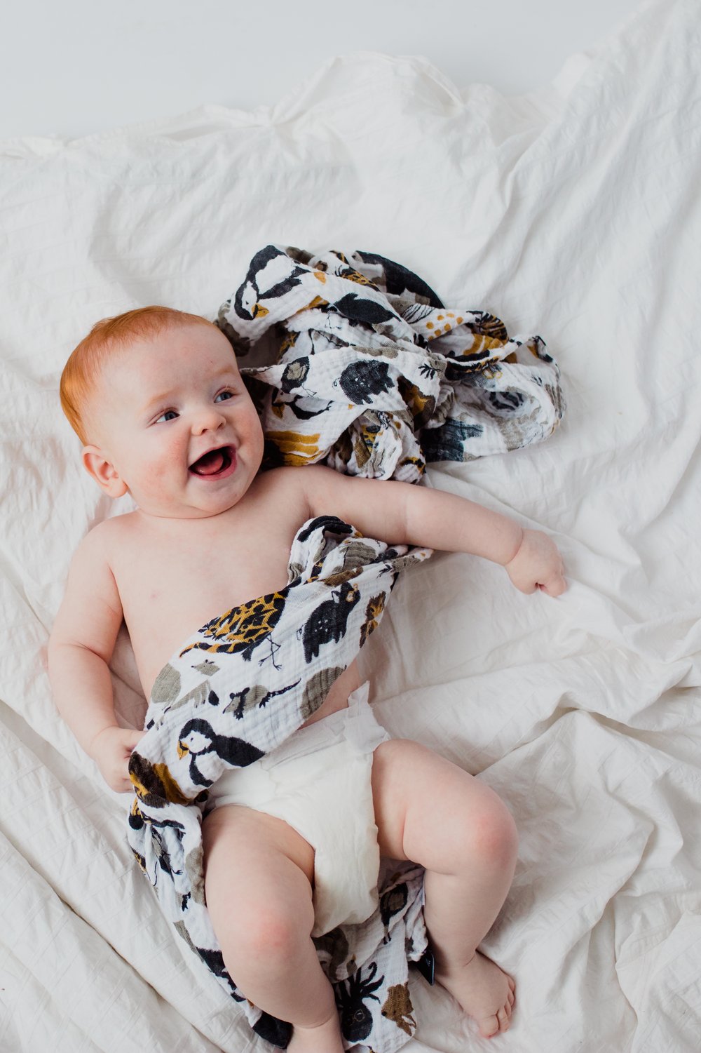 Zoology Swaddle - Tnee&#39;s